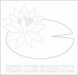 Waterlily Nymphaea Colouring Lineart sketch template