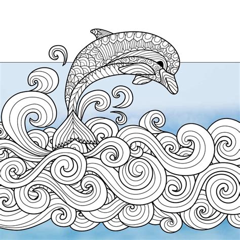 dolphin colouring pages  printable