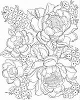 Coloring Pages Adults Flower Flowers Para Adult Tuesday Roses Two Digital Printable Colouring Digitaltuesday Book Colorir Color Sheets Floral Patterns sketch template