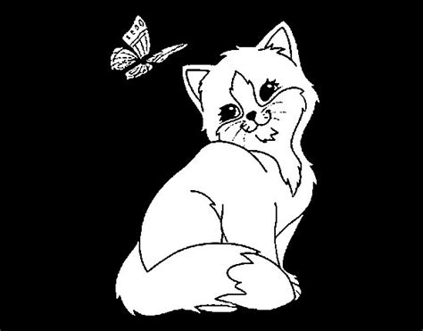 kitten  butterfly coloring page coloringcrewcom