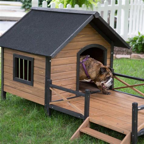 adorable dog houses  adorable homeadorable home