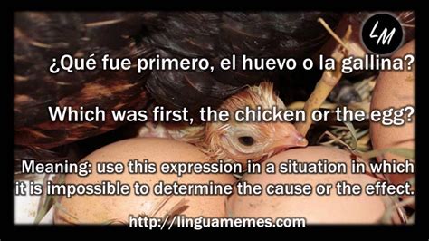 Learn New Words With Linguamemes El Gallo Y La Gallina Rooster And