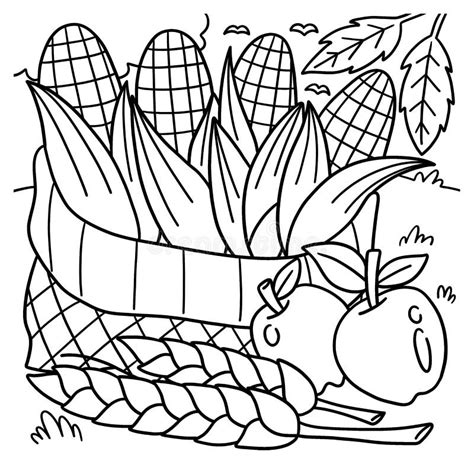 thanksgiving harvest corn coloring page  kids stock vector
