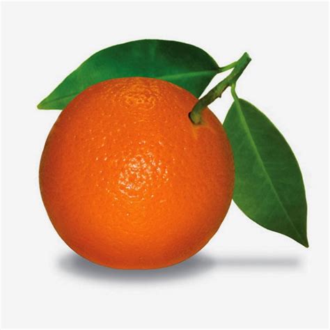manfaat buah  kulit jeruk  kesehatan  kecantikan  buah sehat