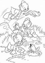 Kleurplaten Kwek Kwik Kwak Kleurplaat Paperino Tick Pato Animaatjes Ausmalbilder Coloriages Loulou Fifi Ducktales Colorir Mercure Paco Luis Disneykleurplaten Compagnie sketch template