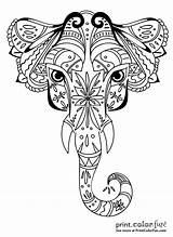 Elephant Ornamental Coloring Related Printcolorfun sketch template