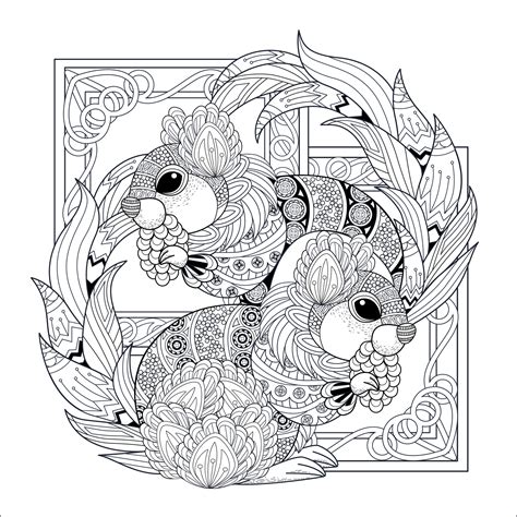 lovely squirrels squirrels rodents adult coloring pages