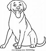 Labrador Lab Chocolate Drawing Clipartmag Retriever sketch template