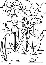 Blumenwiese Malvorlagen Ausmalbilder Blumen Pflanzen Wiese Meadow Ausmalen Ausdrucken Ausmalbild Wildflower Auswählen Wiesen Sommer sketch template