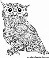 Coloring Owl Pages Owls Print Adult Adults Mandala Baby Printable Difficult Animals Horned Colouring Flying Cute Drawing Great Color Screech sketch template
