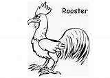 Rooster Coloring Printable Pages Animals Edupics Comments sketch template