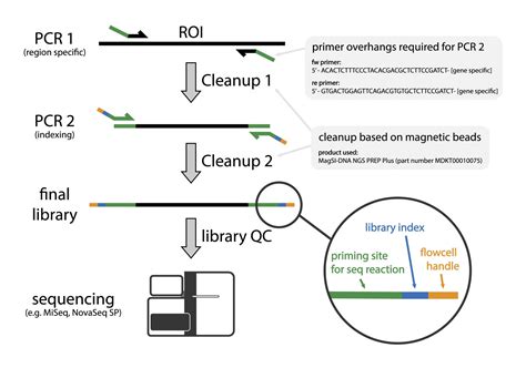 ngi sweden illumina  sequencing