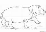 Hippo Coloring Drawing Cute Face Hippopotamus Pages Draw Drawings Sketch Printable Open Mouth Template sketch template