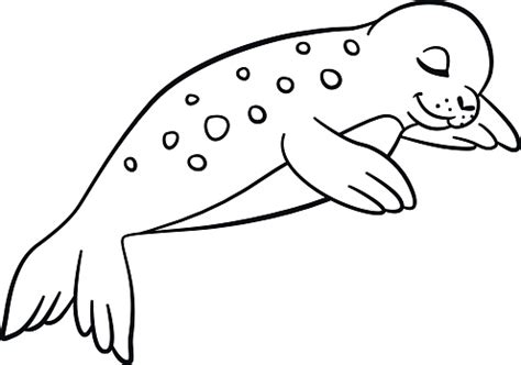 coloring pages  cute spotted baby seal stock illustration