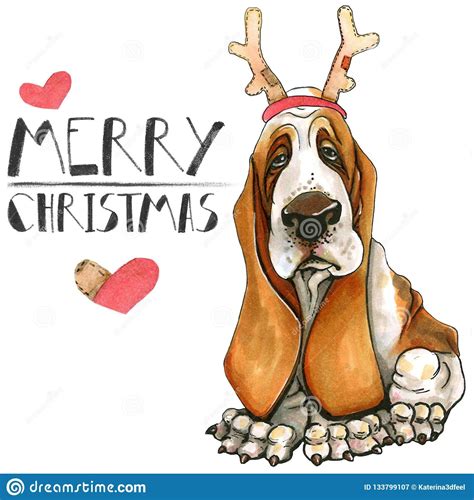christmas cards uk christmas booth christmas puppy basset hound