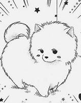 Pomeranian Fluffy Spitz Nain Chien Chibi Watercolour Recherche Résultats sketch template