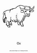 Ox Colouring Coloring Pages Animal Farm Printable Kids Oxen Activityvillage Village Activity Explore Animals Choose Board 85kb sketch template