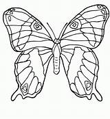 Schmetterling Malvorlagen Malvorlagen1001 sketch template