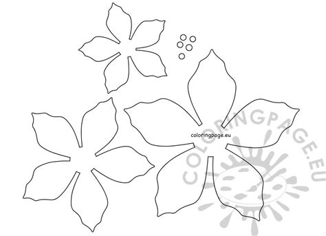 paper poinsettia christmas flower template
