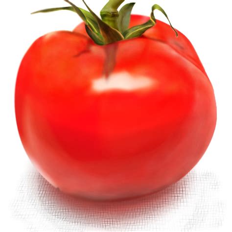 dibujo tomate domestika