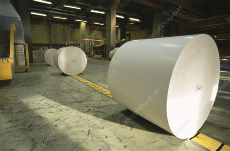 rolls  paper stock image  science photo library