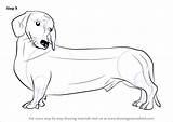 Wiener Drawingtutorials101 Dachshund Necessary Improvements sketch template