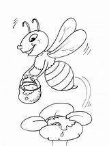 Abejas Abeja Miel Abeille Colorir Mel Insectos Coloriages Animaux Caracoles Abeilles Desenhos Pote Imprimer Recursos Colorea Escuelaenlanube Abelha Cucaluna Animales sketch template