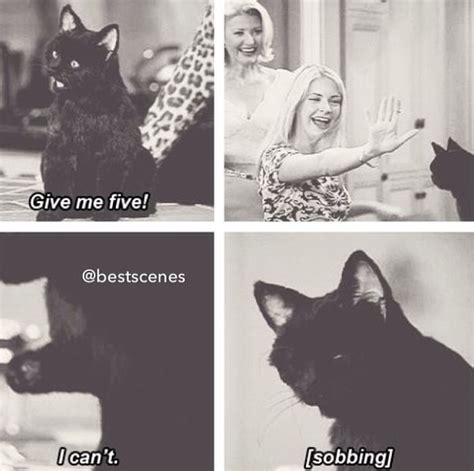 Sabrina The Teenage Witch Quotes Quotesgram