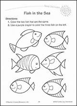Directions Coloring Following Worksheets Color Pages Template Kindergarten sketch template