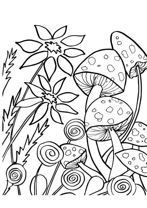 mushroom coloring pages books    printable