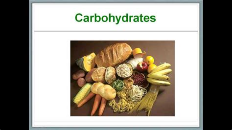 What S In Our Food 4 Carbohydrates Youtube