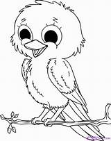 Coloring Bird Pages Realistic Birds Drawing Library Clipart Baby Cute sketch template