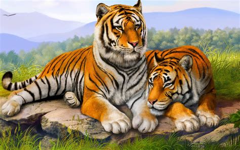 tiger family wallpaper
