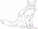 Cat Lineart Sitting Cliparts Coloring Supercoloring Pages Drawing Skip Main Artists Deviantart Favorites Add sketch template