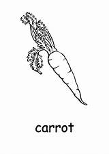 Carrot Coloring Pages Introduce Preschool Kids Color sketch template