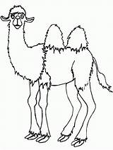 Animierte Kamele sketch template