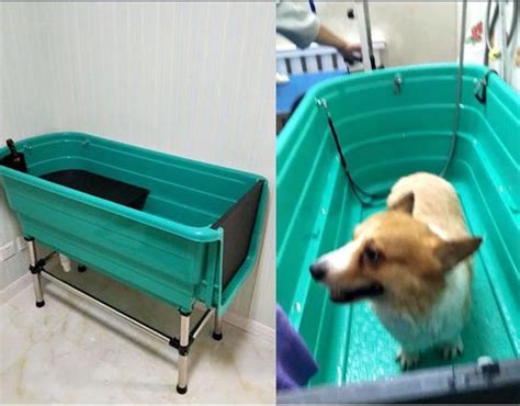 topmast hondenbad kunststof groen op poten met afvoerslang      cm hond bol