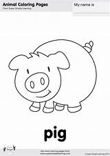 Pig Coloring Farm Pages Worksheets Animal Simple Animals Super Kindergarten Activities Colouring Flashcards Learning Easy Ingles Preschool Prek Supersimplelearning Para sketch template