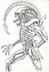 Alien Xenomorph Pages Predator Aliens Colorare Xenomorfo Adult Getdrawings Coloriage Comission Ausmalen 1856 Draws Pixgood Colorier Espejo Ission öffnen Francesco sketch template