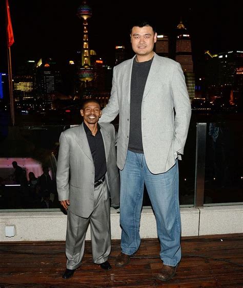 picture  yao ming tall people short people basketball legends sports