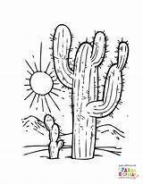 Cactus Desierto sketch template