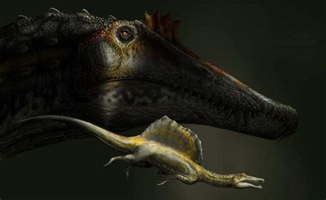 smallest biggest theropod dinosaur