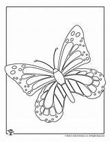 Monarch Activities Kids Coloring Butterfly sketch template