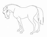 Cimarron Stallion Lineart Deviantart sketch template