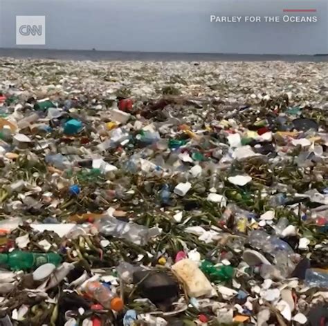 video shows a wave of garbage in the dominican republic a wave of