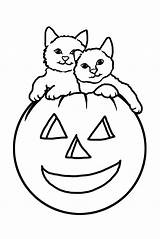 Halloween Cats Pumpkin Coloring Pages Cute Color sketch template
