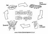 Butterfly Cycle Life Colouring Kids Butterflies sketch template
