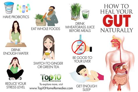 heal  gut naturally top  home remedies