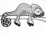 Zentangle Chameleon Project Step sketch template