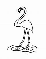 Flamingo Coloring Kids Pages Drawing Template Printable Popular Getdrawings Books Coloringhome sketch template